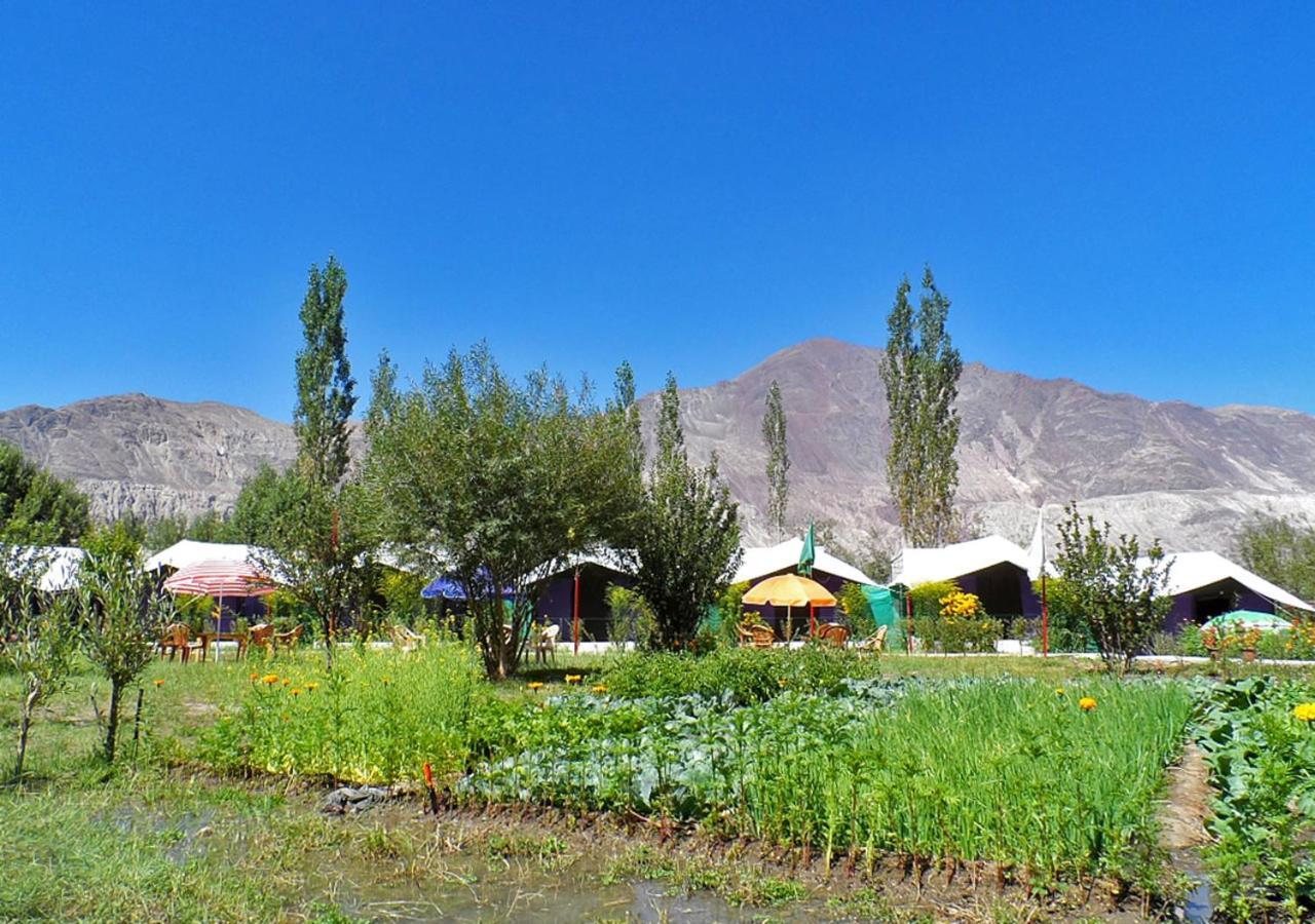 Tiger Camp Nubra Hotel Екстериор снимка