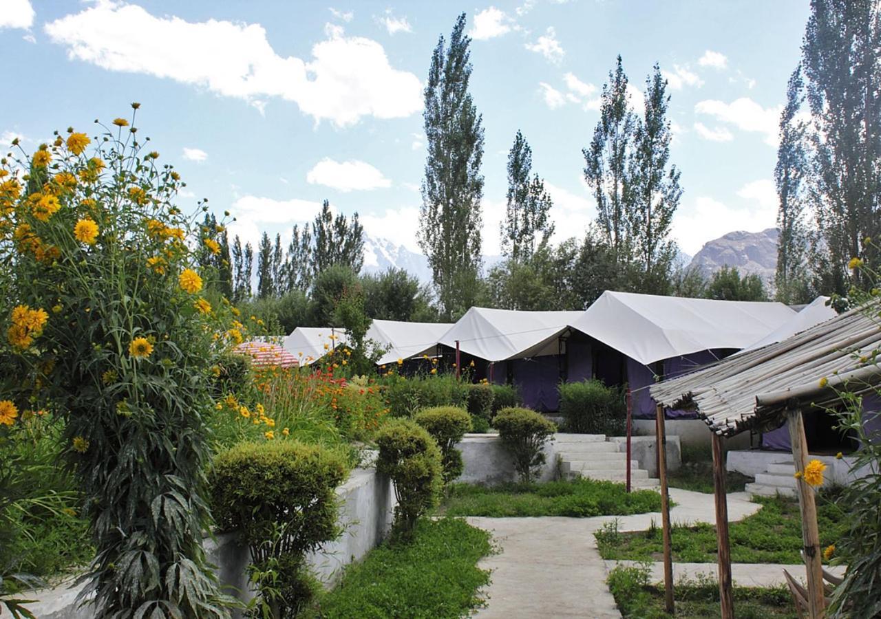 Tiger Camp Nubra Hotel Екстериор снимка